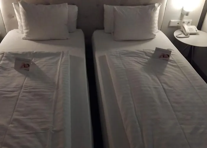 Hotel Cismigiu 4*